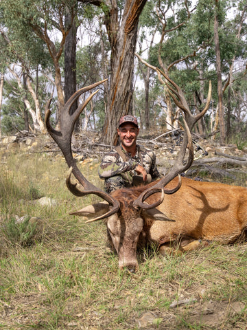 Quality Over Quantity: My Personal Best Red Stag (14 Points)