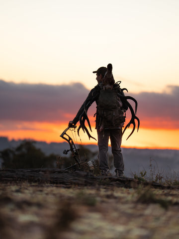 Getting Rut Ready: Our Pre-Rut Checklist For Fallow & Red Deer