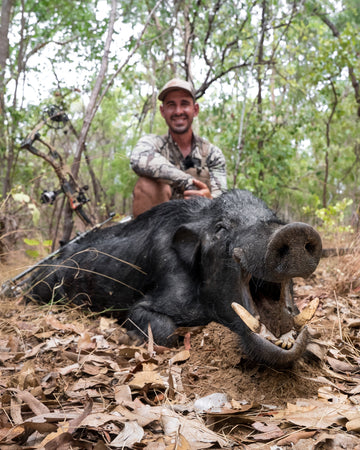 Late Season at Strathburn Station: Cape York Boars