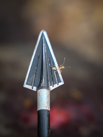 The Pointy End: A Deep Dive Into Broadheads