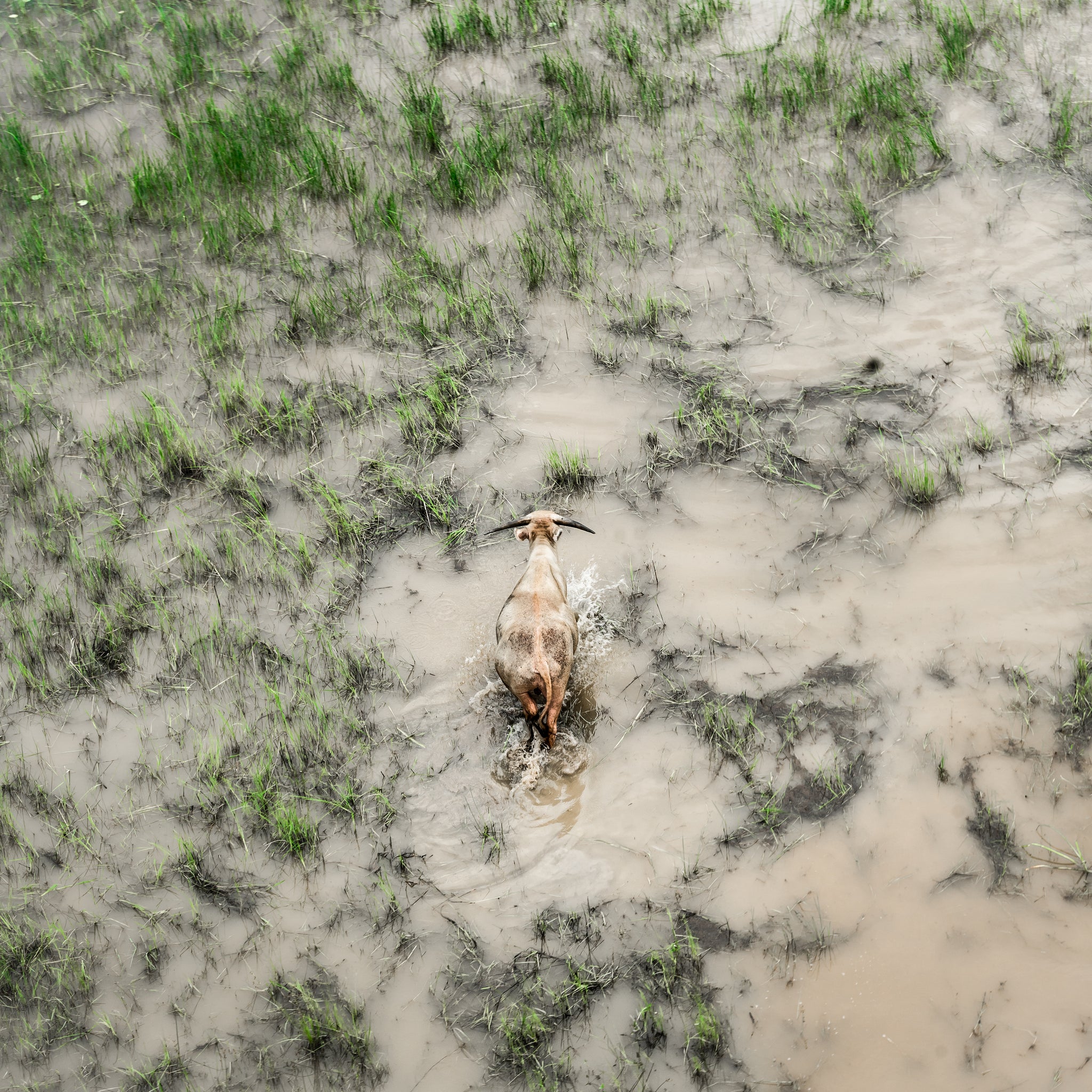 Floodplains