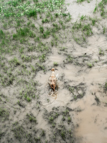 Floodplains